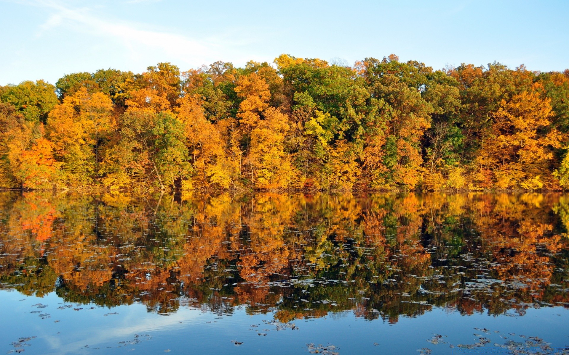 autumn fall tree landscape leaf wood nature scenic season lake water river outdoors scenery reflection environment maple daylight gold park