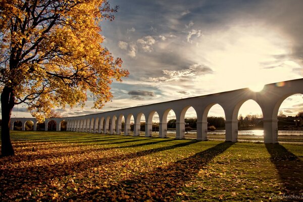 Strahlender Sonnenschein im Herbstpark