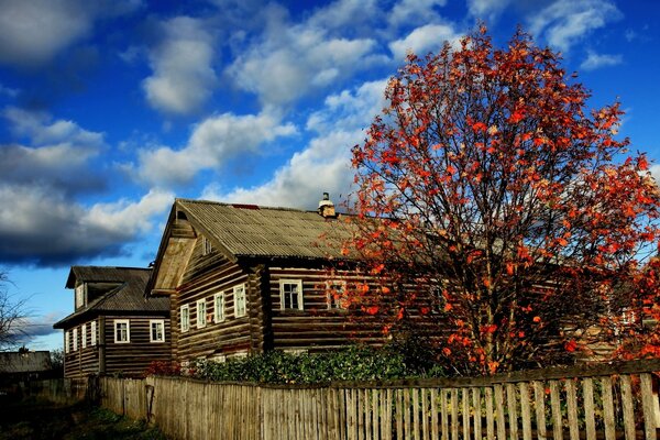 Autumn in the village. A rustic house in bright autumn colors