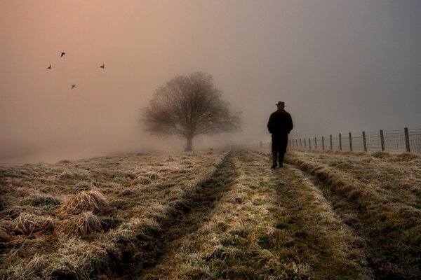 A man walking across a field in a fog