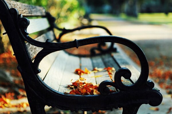 Herbstgarten. Bank aus Holz