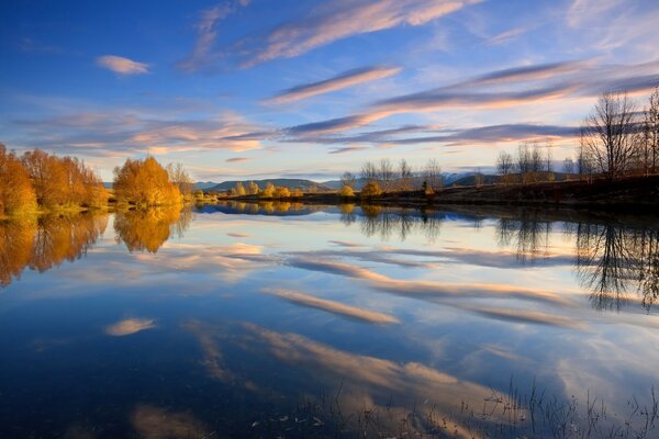 Árboles maravillosos, brillantes, otoñales y coloridos en el fondo del lago. Se siente el estado de ánimo otoñal