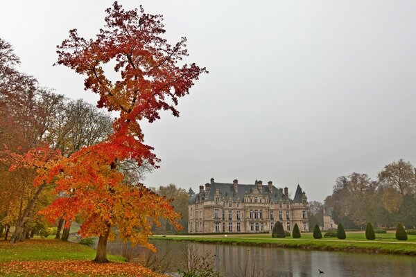 An old castle on an autumn background. The lake is still green grass, but the tree is already in bright autumn colors