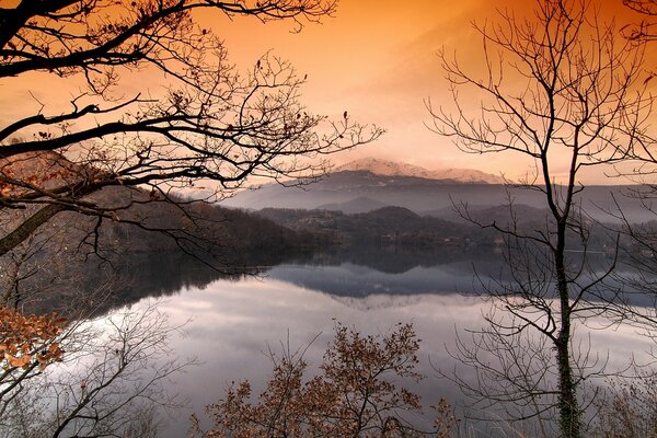 Forest in late autumn during the sunrise in the mountains