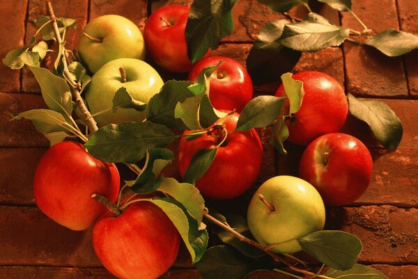 Manzanas rojas y manzanas verdes