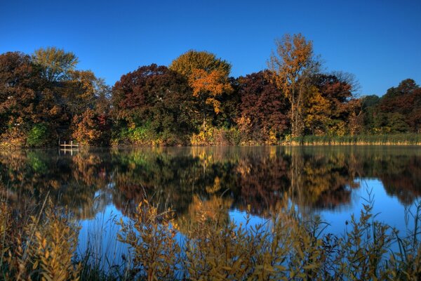 Reflejo del bosque de otoño en el lago