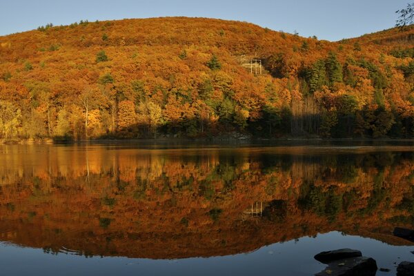 Landschaft des Herbstmassivs des Gebirgswaldes in Wasserreflexion