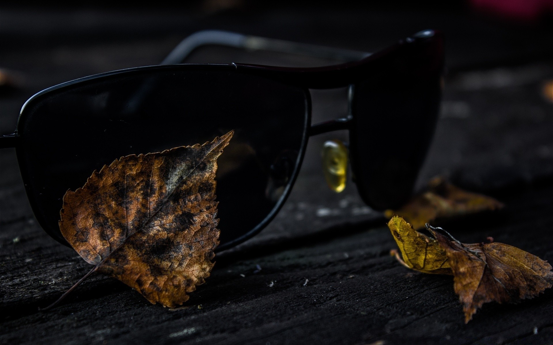 herbst essen stillleben holz herbst natur kochen unschärfe