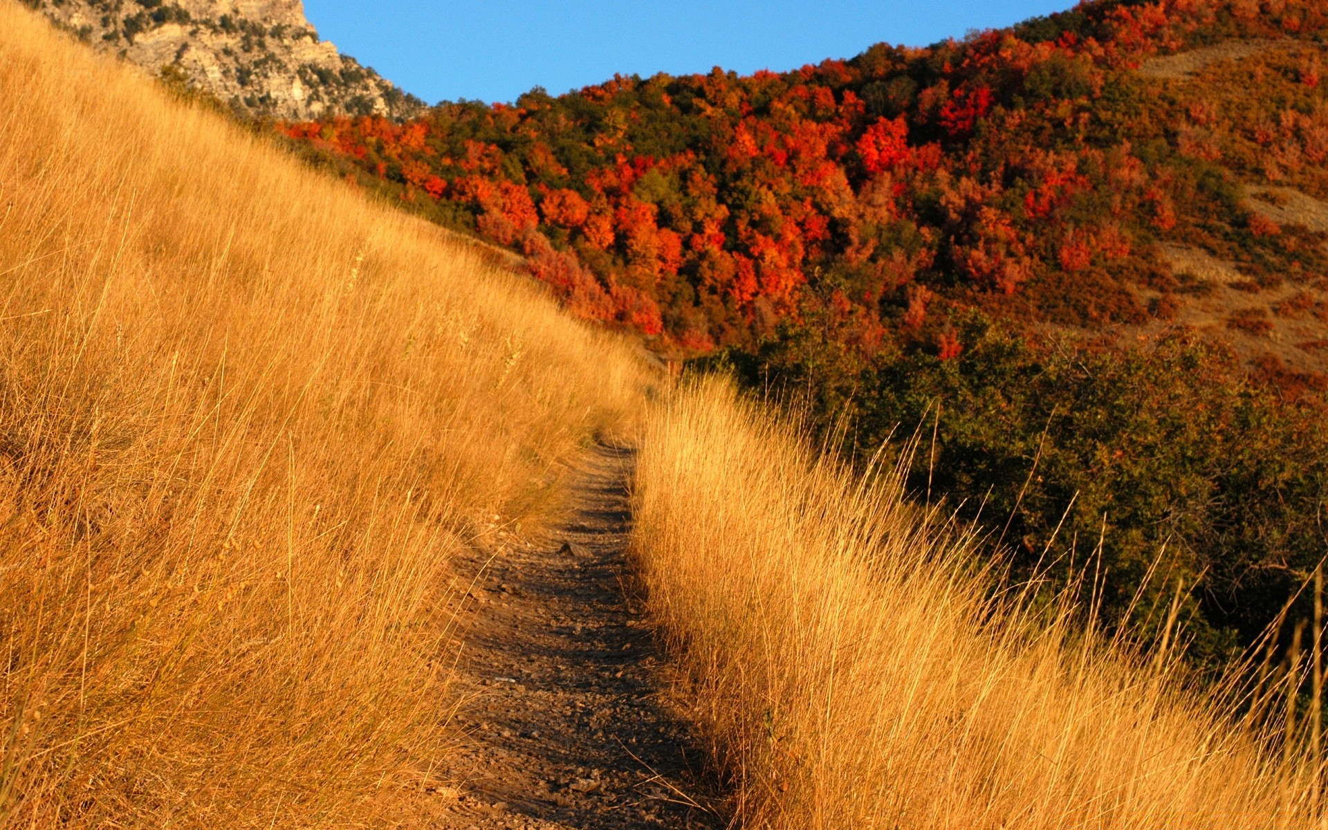 herbst landschaft im freien natur reisen baum herbst himmel landschaftlich holz tageslicht berge