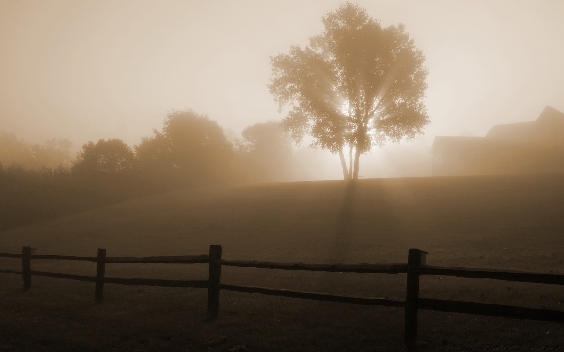 autunno nebbia nebbia alba tramonto paesaggio acqua spiaggia meteo illuminato silhouette sera luce mare oceano lago foschia cielo albero sole