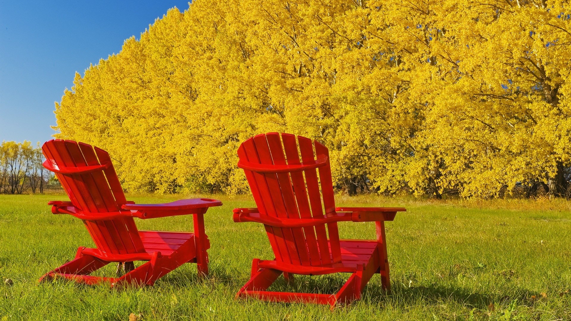 herbst natur sommer ort gras bank holz stuhl im freien feld farbe herbst entspannung holz leer himmel heuhaufen im freien tageslicht landschaft