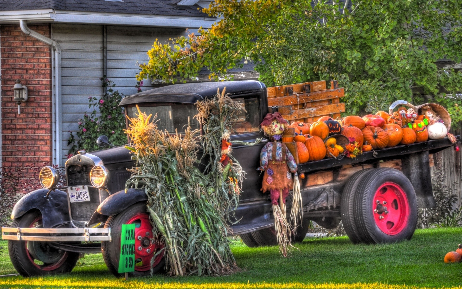 herbst landwirtschaft bauernhof auto räder traktor weide sommer garten maschine transportsystem herbst