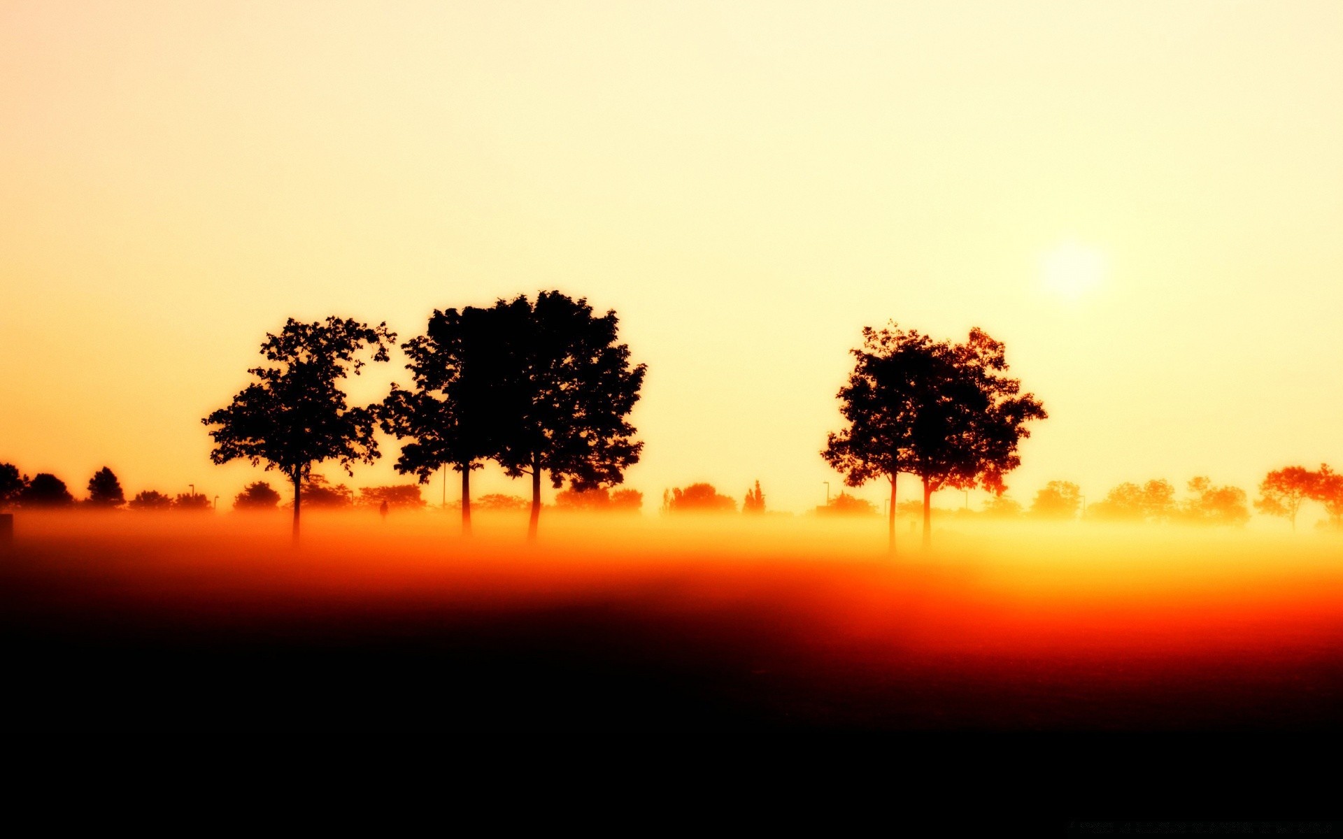 autumn sunset dawn backlit silhouette sun tree landscape fog evening fair weather mist nature sky dusk light