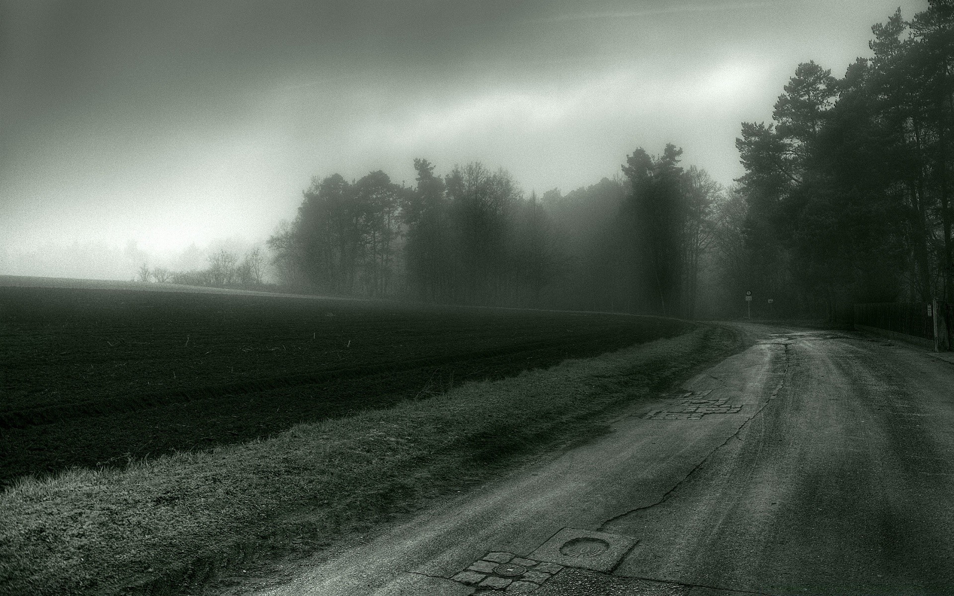 automne brouillard route paysage brouillard aube monochrome pluie lumière tempête coucher de soleil arbre météo nature soleil automne ciel à l extérieur