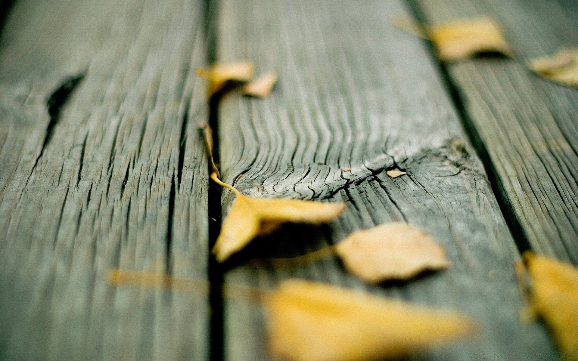 otoño madera viejo madera textura abstracto escritorio vintage primer plano dof patrón