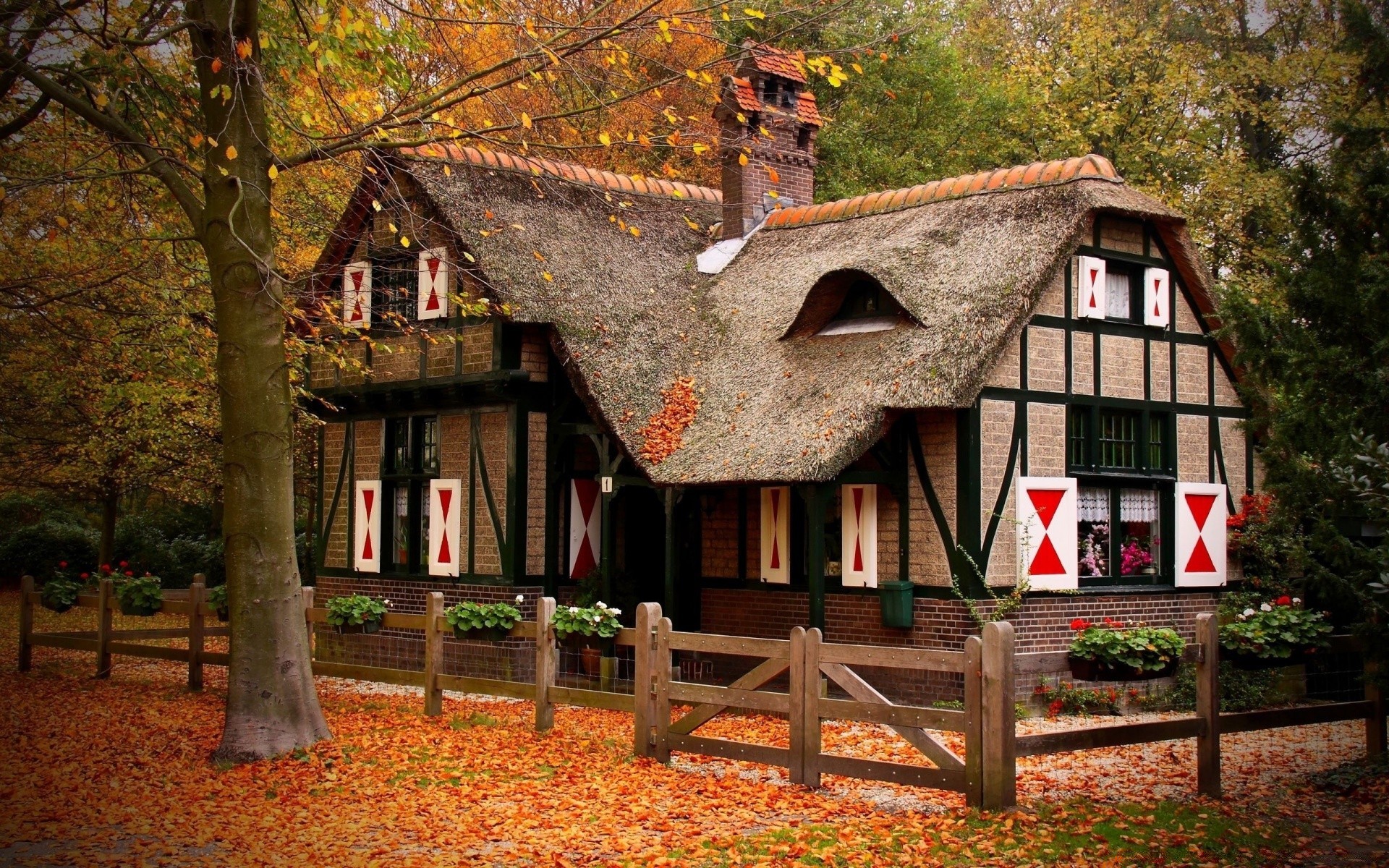 herbst haus haus bungalow holz familie architektur haus rustikal baum dach garten