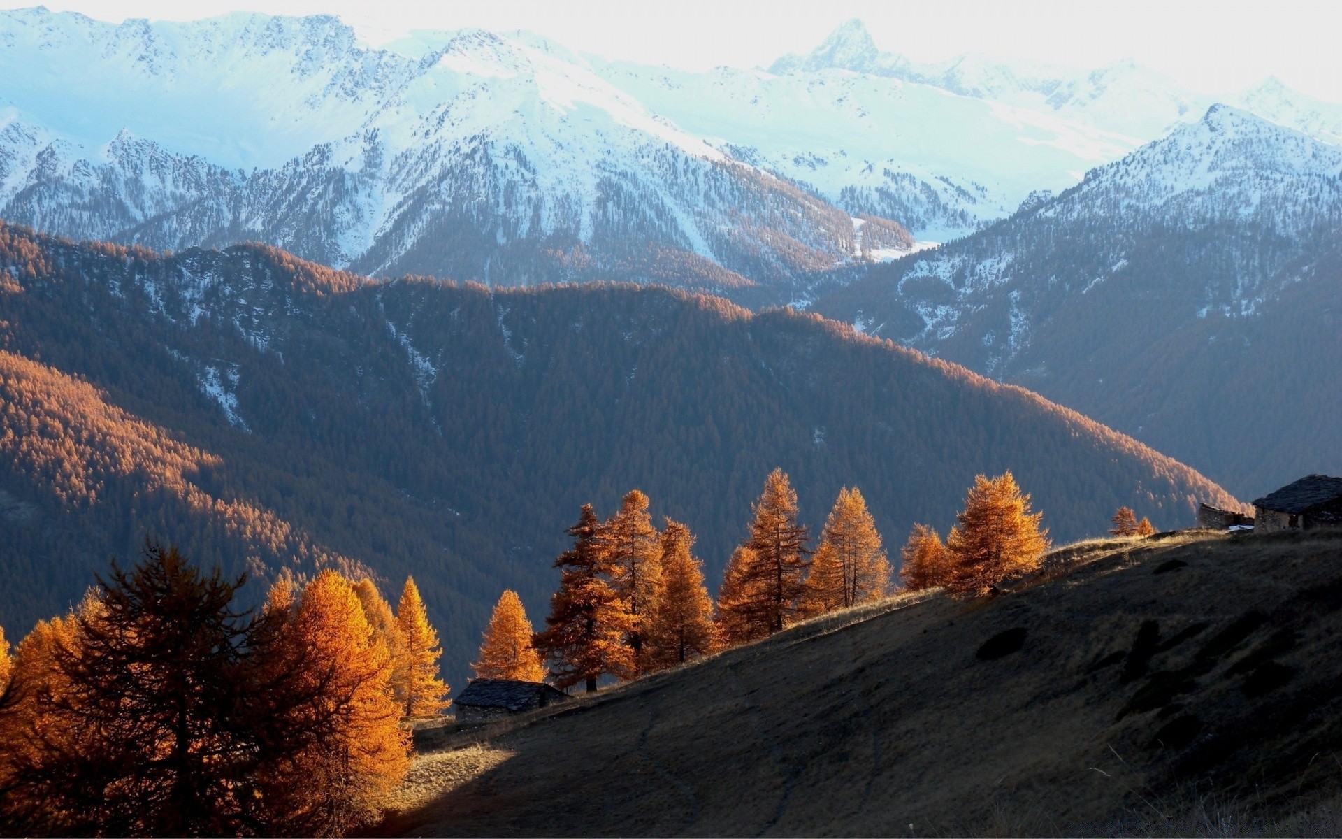 automne montagne neige voyage scénique paysage à l extérieur bois nature automne vallée ciel bois pic de montagne brouillard