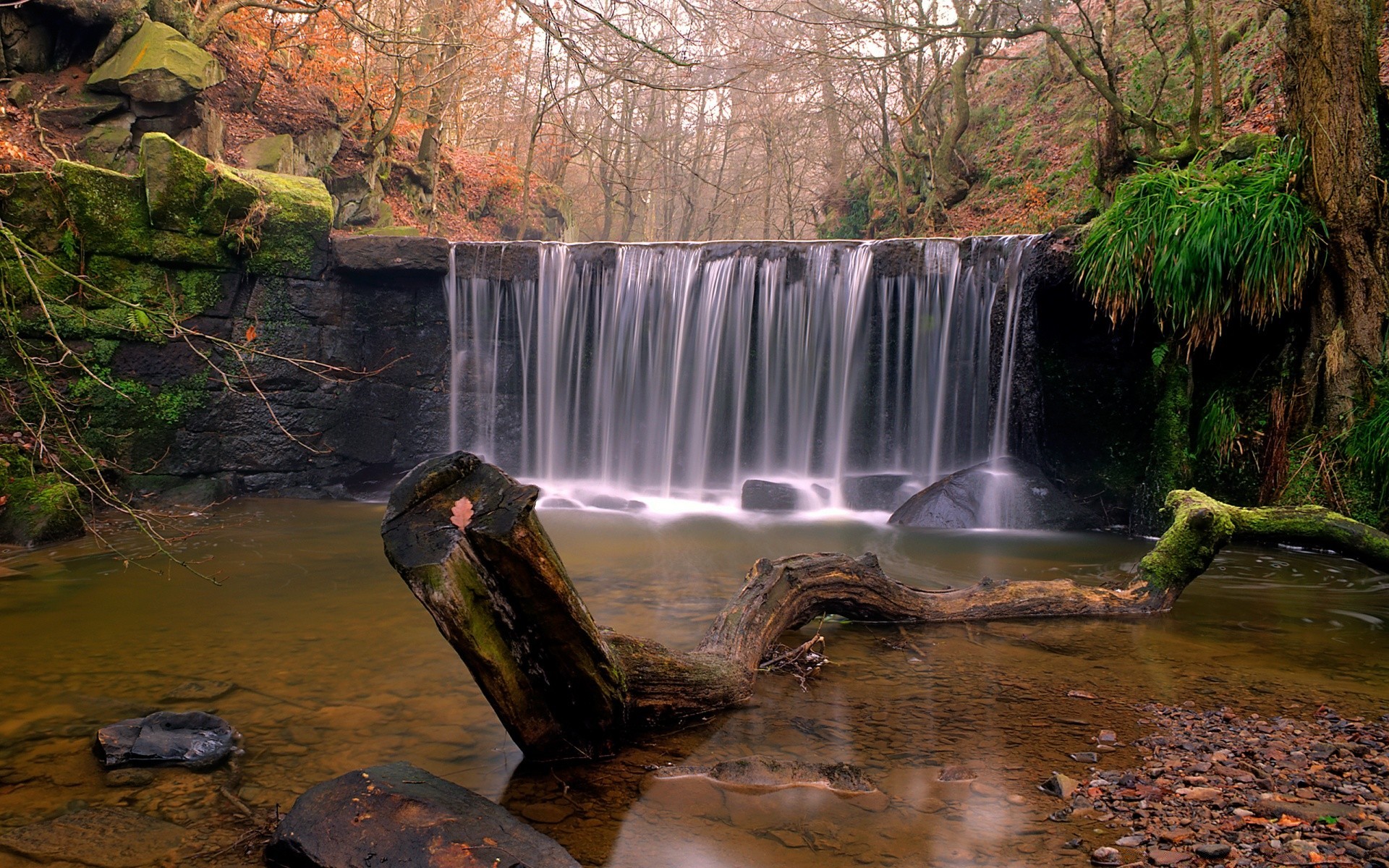 outono água cachoeira rio córrego outono rocha movimento árvore natureza ao ar livre paisagem cascata grito madeira viagem folha córrego ambiente parque