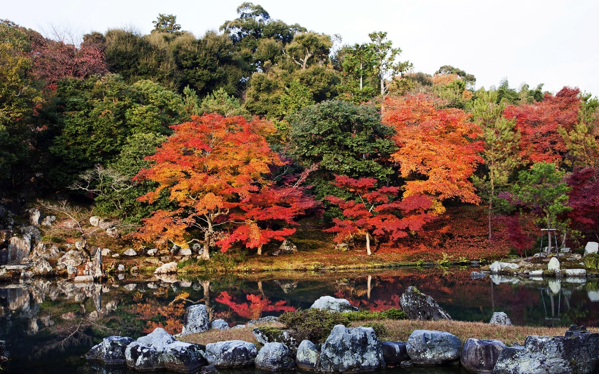 herbst herbst blatt ahorn holz natur landschaft park saison landschaftlich garten im freien holz landschaft farbe flora reisen berge szene stein