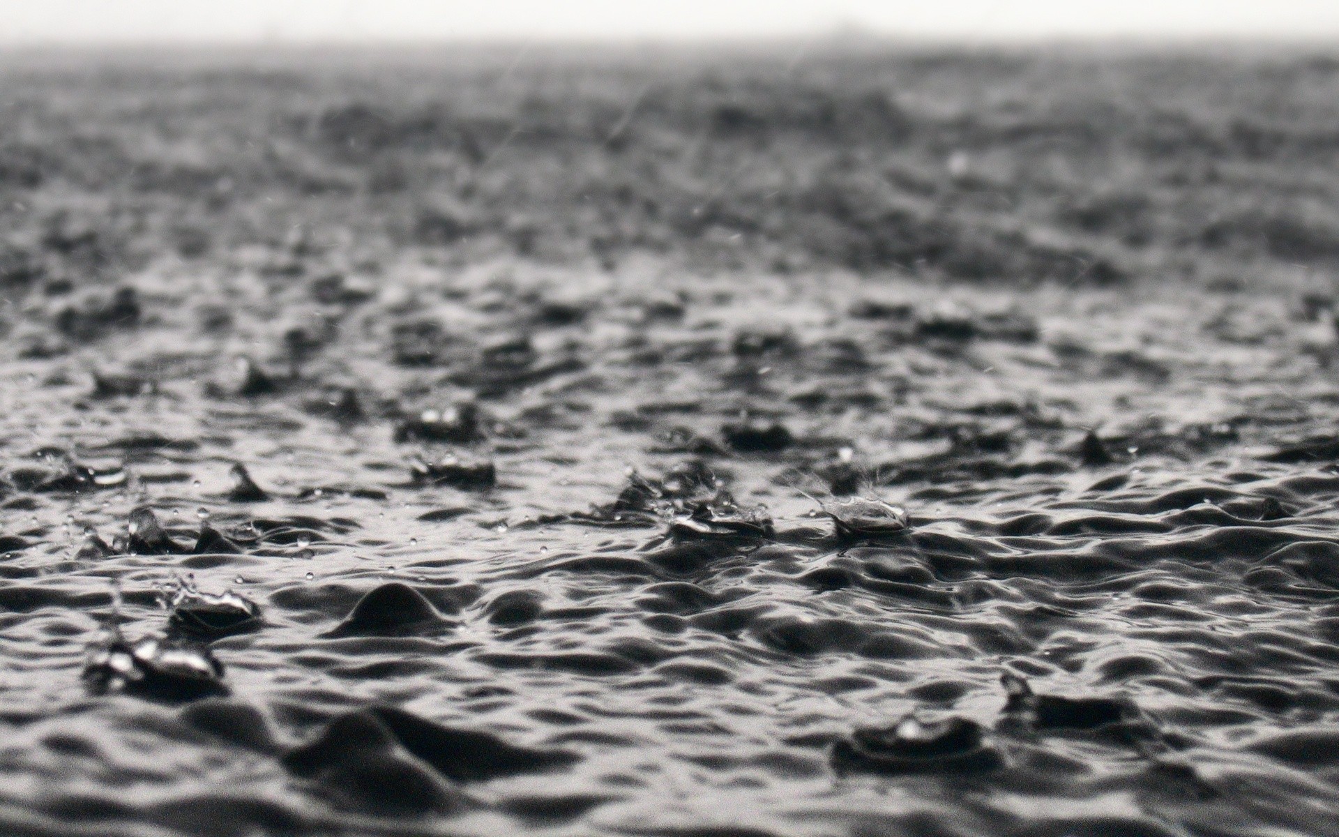 autunno spiaggia mare acqua oceano natura in bianco e nero onda bianco e nero mare sabbia pioggia paesaggio surf riflessione bagnato tempesta cielo desktop