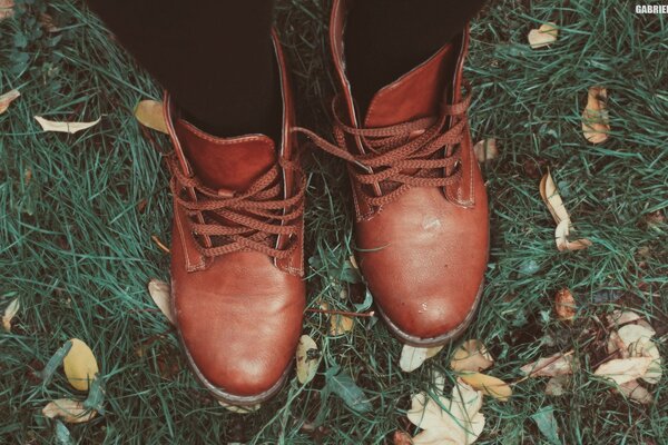 Brown shoes on a grass background