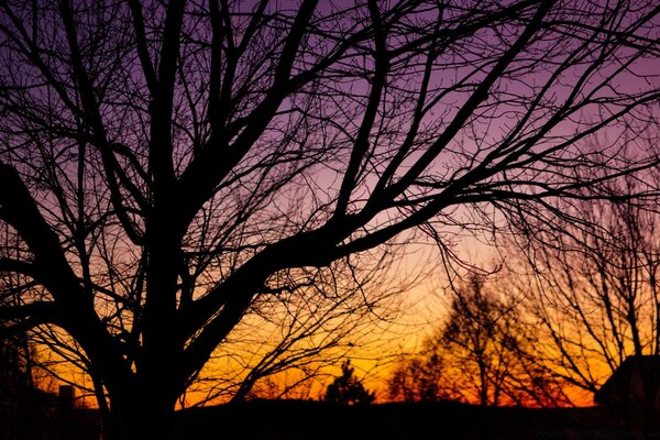 Herbstlandschaft vor Sonnenuntergang Hintergrund