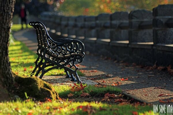 Metallladen im Herbstpark