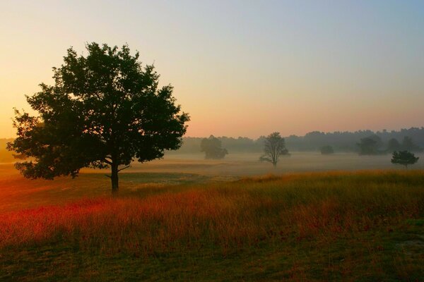 Early morning, beautiful sunrise