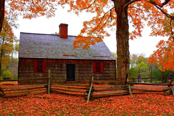 Árbol de otoño. Hoja de otoño