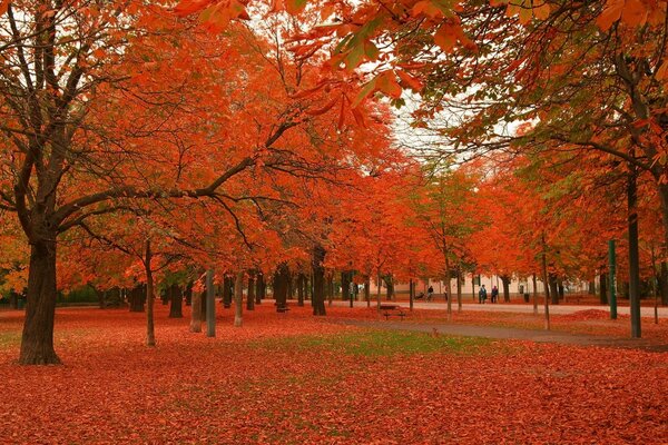 Beautiful autumn weather