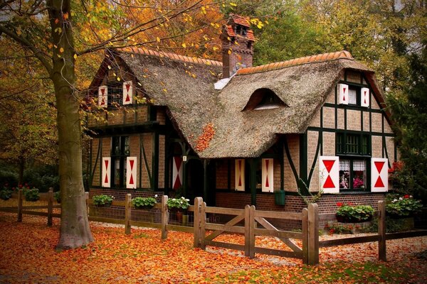 Casa de madera en el bosque de otoño