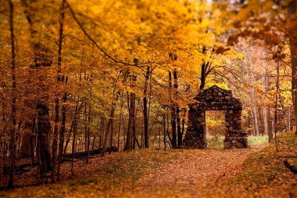 Arco de piedra entre el bosque de otoño