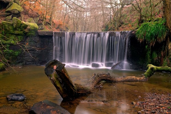 Cascada en el bosque de otoño