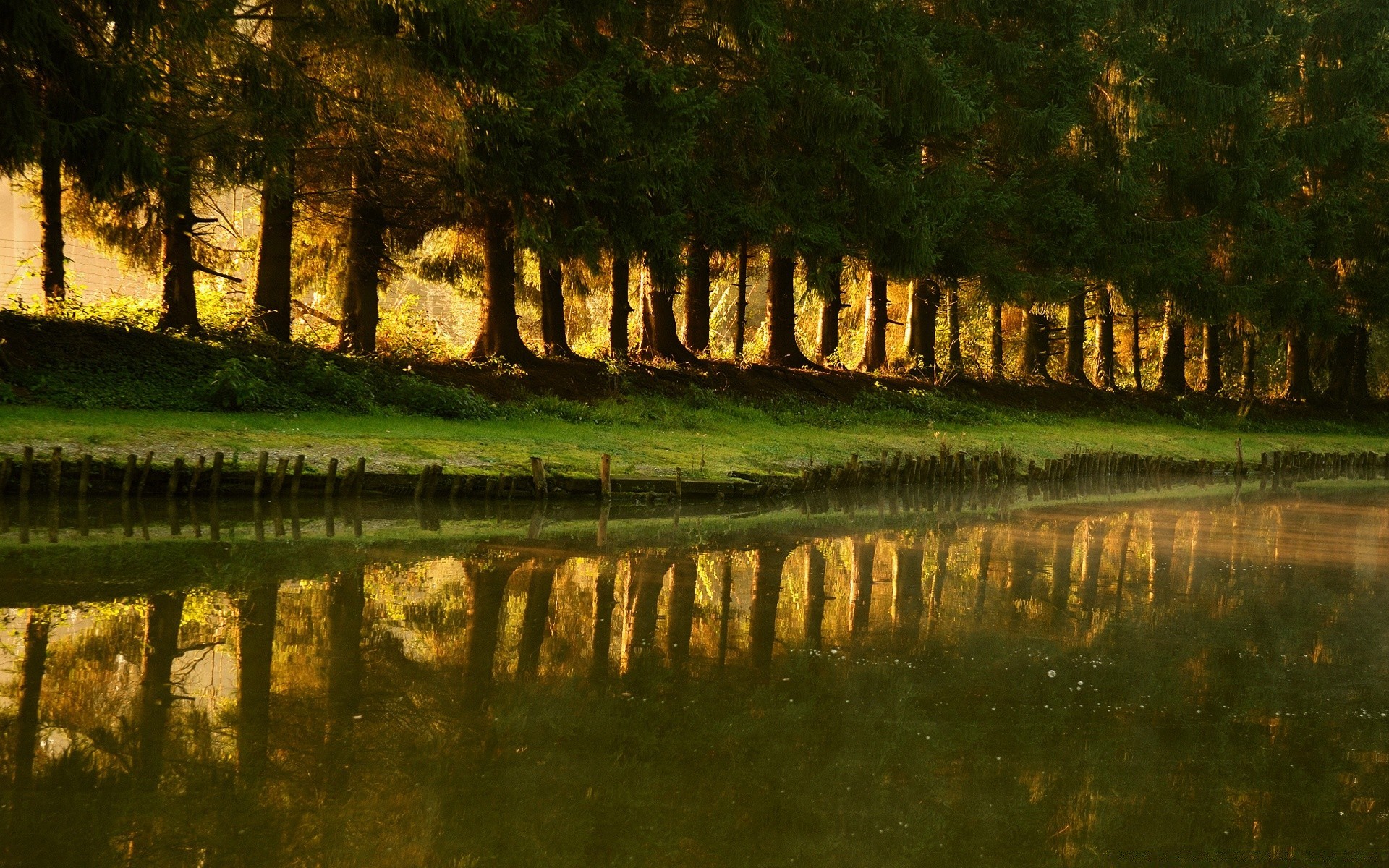 see wasser holz reflexion landschaft fluss holz im freien natur schwimmbad herbst