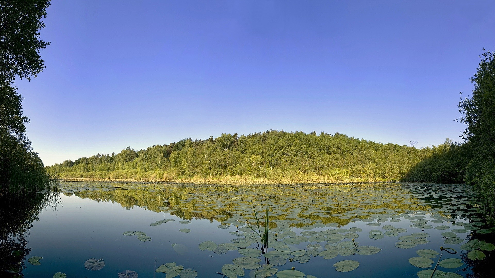 jezioro woda odbicie drzewo rzeka krajobraz na zewnątrz natura niebo drewno malownicze podróże basen światło dzienne lato