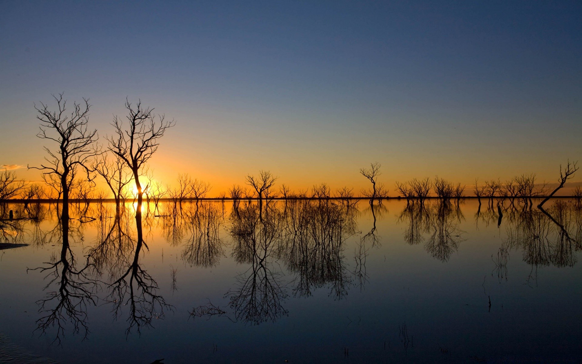 lago tramonto alba natura riflessione paesaggio sole sera cielo crepuscolo acqua silhouette luce bel tempo autunno albero oro