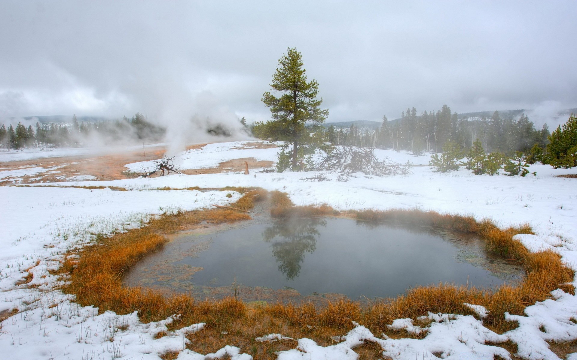 lago paesaggio nebbia inverno natura neve geyser nebbia vapore primavera calda all aperto acqua albero incrostato legno termico alba meteo