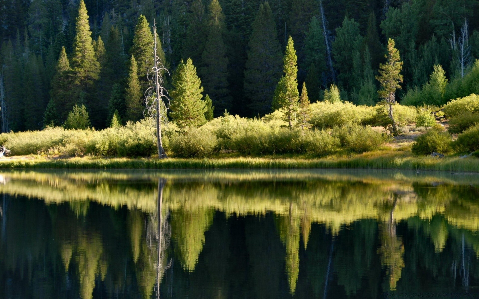 lac eau réflexion bois nature à l extérieur paysage rivière bois scénique piscine conifères voyage automne parc evergreen montagnes lumière du jour