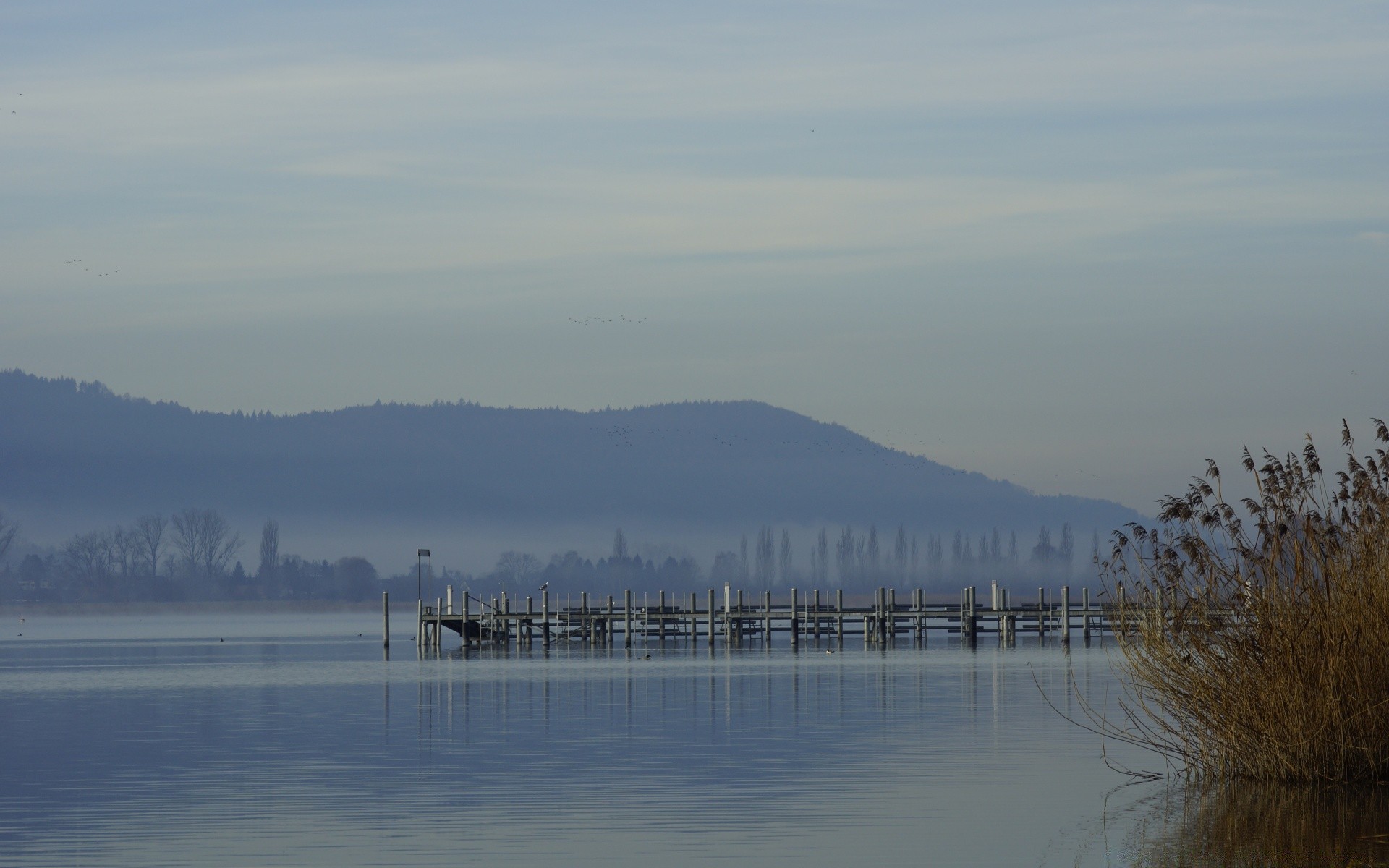 lago acqua nebbia nebbia alba inverno paesaggio riflessione neve fiume tramonto albero cielo all aperto natura luce del giorno viaggi