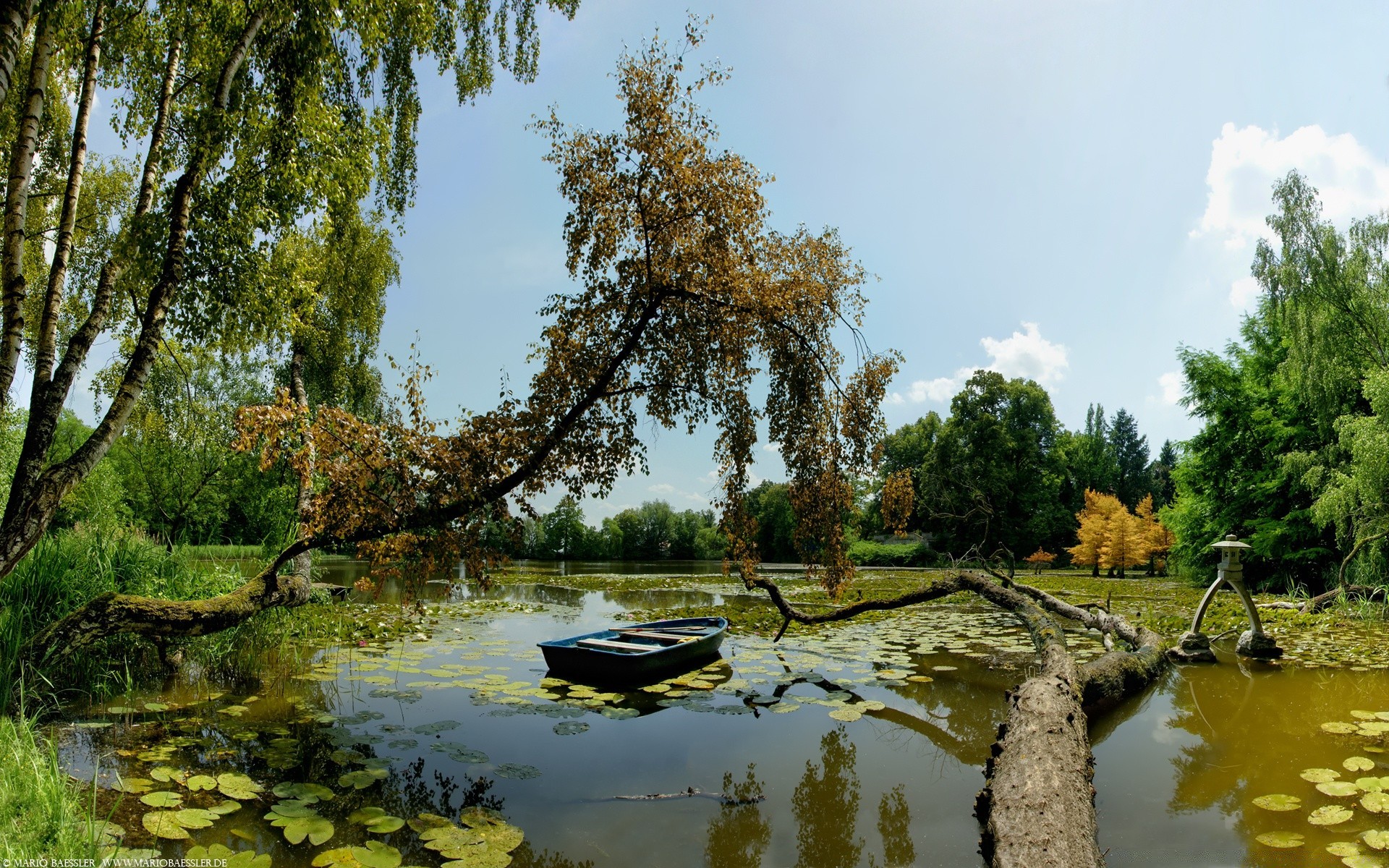 lago agua árbol naturaleza reflexión río piscina paisaje madera parque al aire libre verano hoja escénico flora temporada cielo sangre fría hierba