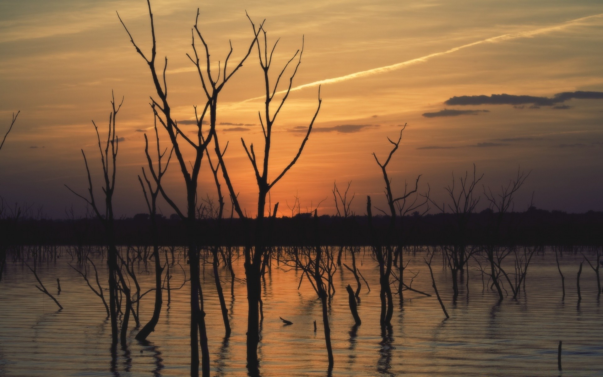 lago tramonto acqua alba sera crepuscolo natura riflessione paesaggio cielo sole illuminato silhouette tempo all aperto albero estate marzo