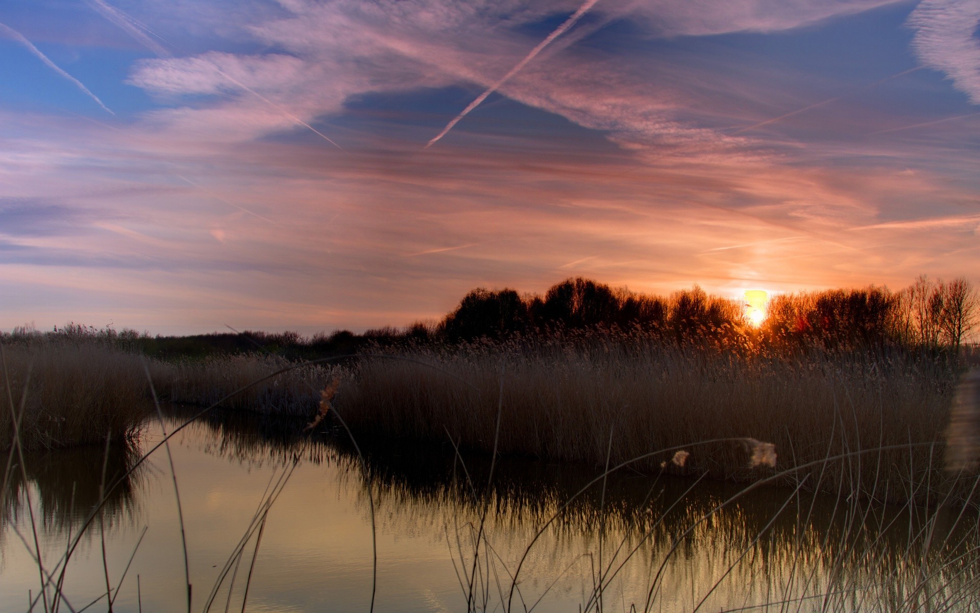 lago paesaggio alba tramonto riflessione acqua sera fiume reed luce natura autunno albero sole marcia crepuscolo nebbia cielo tempo