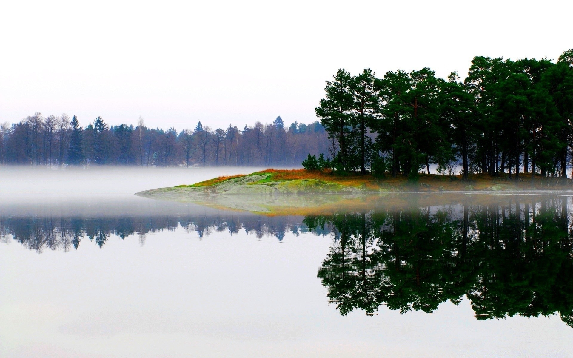 lac eau paysage arbre rivière à l extérieur nature réflexion lumière du jour