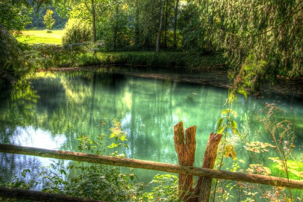 Bäume verbergen einen sauberen Waldsee