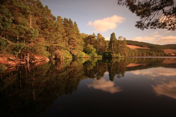 Beautiful weather, nice forest