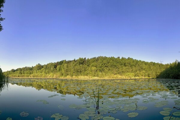 Lac sauvage. Endroit calme