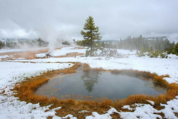 Paisagem da natureza de Inverno e névoa sobre a água