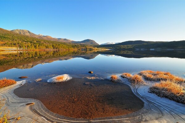 El lago y su vida ecológica. Paisaje gran angular