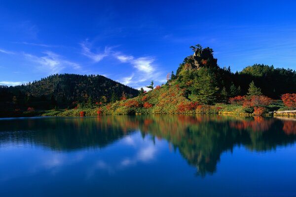 Paysage luxuriant: ciel, eau et verdure