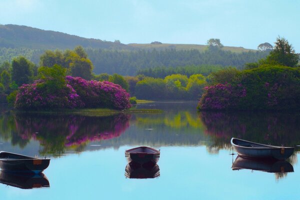 Three boats on the smooth surface of the water